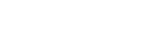 Formula Dynamics