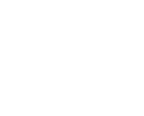Custom Development